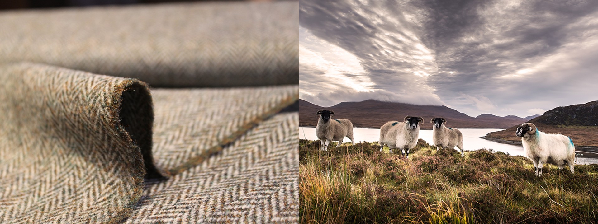 Harris tweed sheep hills cloth