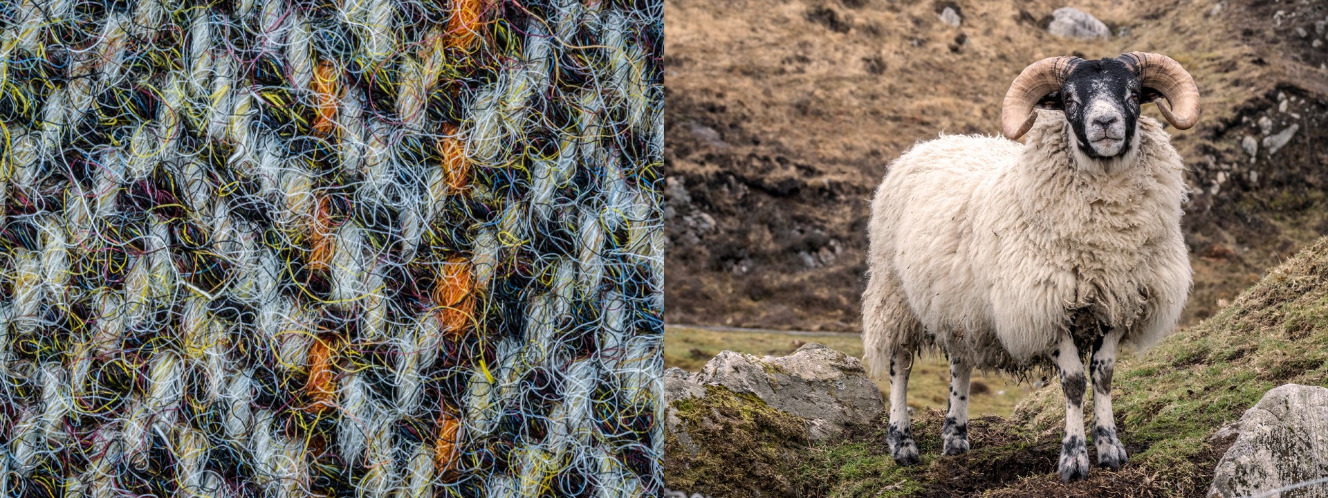 Harris Tweed sheep hills